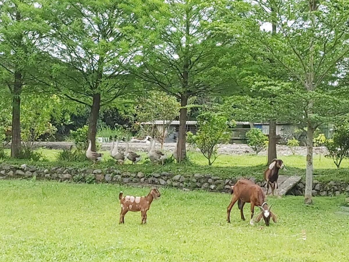 Meihua Lake Leisure Farm Dongshan  Extérieur photo